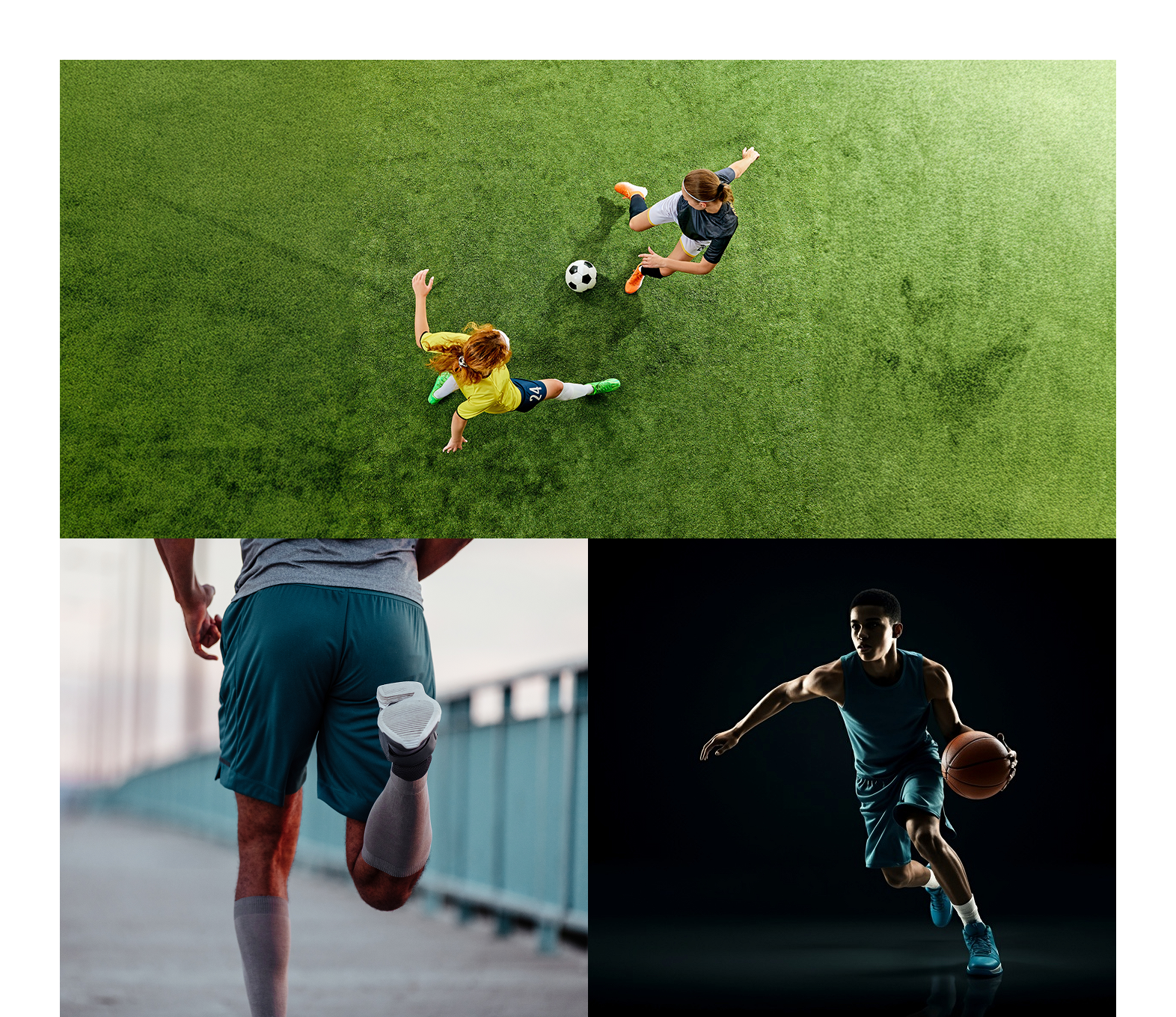 비원팀은 엘리트 스포츠팀에게 필요합니다.